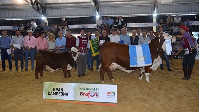 Santa Irene y La Matilde se llevaron los mayores premios de la Nacional Braford