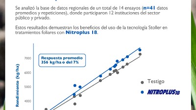Comienza la siembra de trigo: A la hora del nitrógeno, la eficiencia es lo que importa