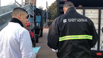 Controles del Senasa a los animales que ingresan a la Exposición Rural en Palermo