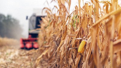 La tasa de referencia de EE.UU. puede ayudar a los precios agrícolas; por Manuel Alvarado Ledesma - Agrositio