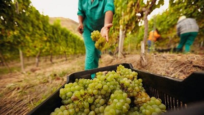 Marca empleadora en empresas del sector agroalimentario