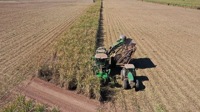Buenas expectativas para el agro argentino: se vislumbra un primer trimestre prometedor