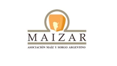 MAIZAR está coordinando un trabajo público-privado para abordar el problema del achaparramiento del Maíz