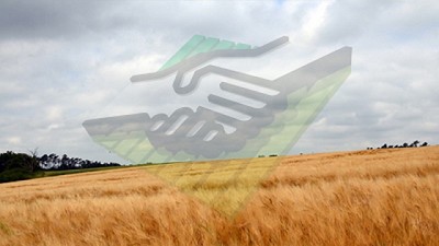 El pronóstico tan esperado y el 