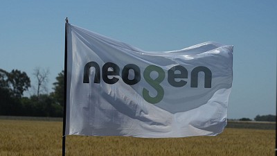 NEO 30T23 y NEO 50T23: trigos que desafían los límites