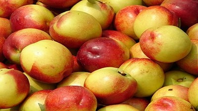 Más de 120 contenedores con fruta de Argentina se encuentran detenidos en puerto chileno