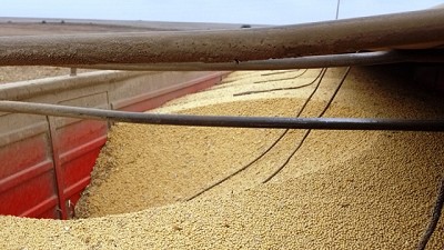 Detectan más de 31 ton. de soja fuera de estándar que iban a ser exportadas desde Santa Fe