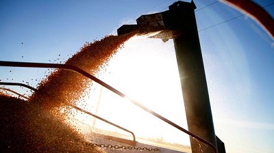 El Gobierno simplifica los requisitos para la exportación de granos, carnes y lácteos