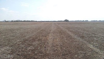 Un buen tratamiento de malezas contribuye a la rentabilidad agrícola