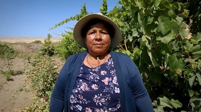 Water Positive: Un enfoque proactivo para luchar contra la desertificación y la sequía