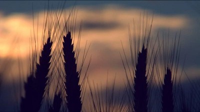 Un invierno encaminado a ser el 2° más frío de los últimos 60 años; ¿consecuencias para el Campo?