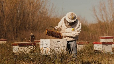 Se recuerda la documentación necesaria para trasladar colmenas y material apícola vivo