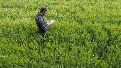 Nueva herramienta digital para una gestión simple y ágil de la producción agrícola