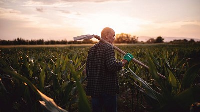 Sancor Seguros lanza su campaña de Seguros agropecuarios 2024/2025
