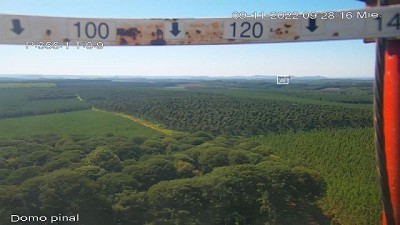 Los incendios forestales pueden prevenirse con información satelital de alertas tempranas