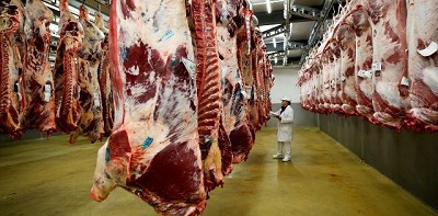 La faena en recuperación: el sector cárnico busca recuperarse tras el impacto climático