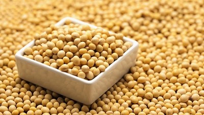 Importaciones récord de Soja de China durante octubre
