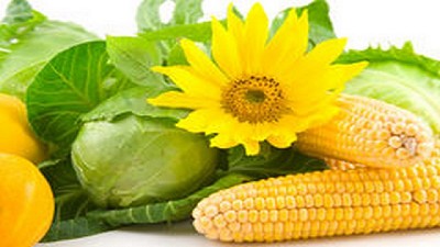 Informe de mercados agrícolas de Noviembre, y el impacto Trump