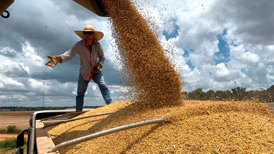 Panorama actual del mercado agro y alternativas de inversión