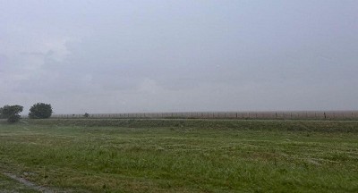 Lluvias del fin de semana: registros dispares y una sorpresa positiva