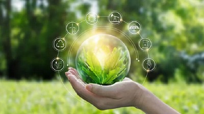 El círculo verde: un networking de Bioeconomía propone negocios sostenibles