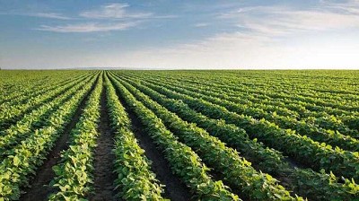 Se concretó el primer crédito medido en toneladas de soja
