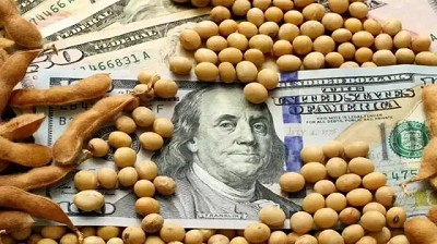 Dólar soja Libertario! es o se hace?, por Fernando Vuelta