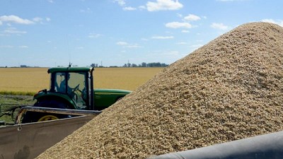 Las ventas externas agroindustriales mantienen su tendencia positiva en 2025 con una mejora del 25% en volumen