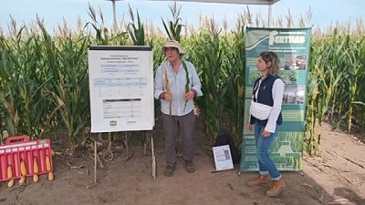 Nutrición y manejo de suelos: resultados de 25 años de trabajo conjunto entre Nutrien y CREA Sur de Santa Fe