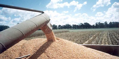 ¿Si en vez del FMI nos presta el agro?, por Javier Reigada