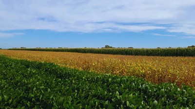 Rotar cultivos mejora hasta un 70 % la calidad del suelo