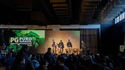 El girasol, de vuelta en el sur cordobés: rentabilidad, manejo y genética para un cultivo clave