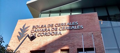 Soja récord en Sudamérica, Trigo con más área, y un Maíz en tensión global