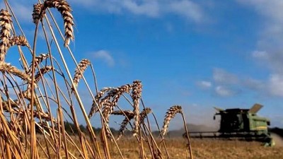 Reportan crecimiento significativo en exportaciones agrícolas paraguayas