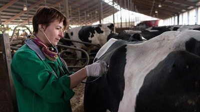 Día del Veterinario: desafíos de una profesión clave para el bienestar animal y la salud pública