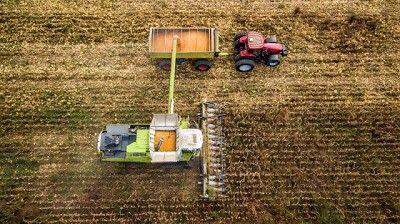 Una nueva lectura del lote con genética moderna