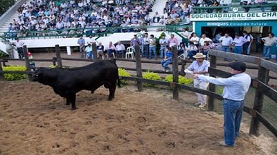 Yerba, forestación y retenciones: los temas calientes que CRA llevó al interior profundo