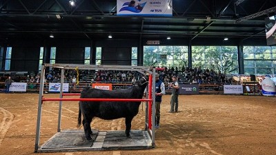 Vuelve la Semana Angus de Primavera con predio renovado