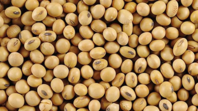 China rompe récord de importaciones de soja