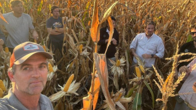 Anticipando la campaña maicera en el sur de Buenos Aires