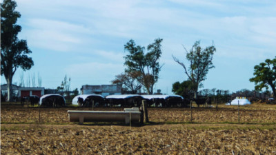 Planificación, clave para una gestión de agua eficiente en tambos