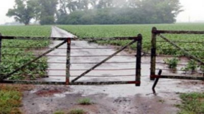 Lluvias récord = suelos saturados = campaña en riesgo - CCA/Agrositio