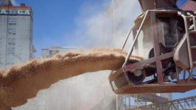 El registro de Declaraciones Juradas de Venta al Exterior alcanzó un récord histórico en los primeros ocho meses del año