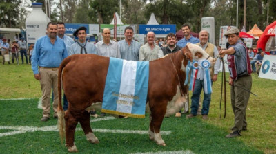 ExpoBRA 2025: el mejoramiento genético dijo presente otra vez