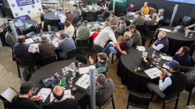 Nueve remates imperdibles en la Semana Angus de Primavera