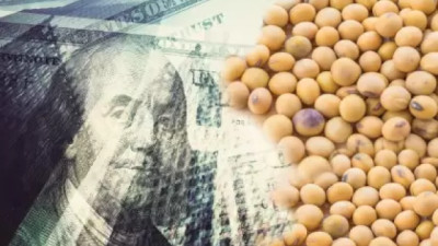 Gobierno sorprende al agro con eliminación de retenciones: la reacción de los dirigenes