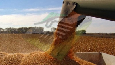 Las Bolsa de Cereales y de Comercio del país valoran como un paso en la dirección correcta la baja a cero de los DEX a cereales y oleaginosas