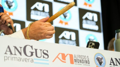 “Fue un rematazo”: balance del televisado de Alfredo S. Mondino en la Semana Angus