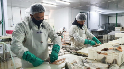 Nueva Oficina de Certificación impulsa la exportación de Río Negro y Neuquén