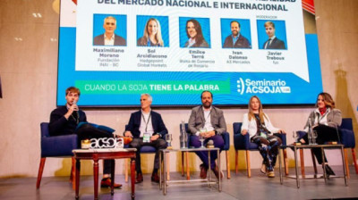 A lo largo de la próxima década el complejo soja puede sumar exportaciones por US$ 62.500 millones adicionales